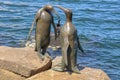 Penguin scuptures on the waterfront - Hobart