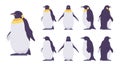 Penguin set, cute large aquatic flightless seabird Royalty Free Stock Photo