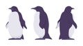 Penguin set, cute large aquatic flightless seabird