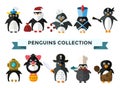 Penguin set vector illustration