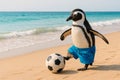 Penguin in shorts playing football on the beach. Royalty Free Stock Photo