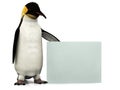 Penguin with sign Royalty Free Stock Photo