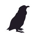 Penguin, silhouette, vector