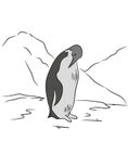 Penguin sketch color, vector