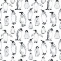 Penguin sketch seamless pattern. Hand drawn illustration