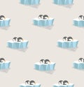 Penguin sleep on ice floe pattern