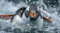 Penguin Splashing in Water on Rainy Day