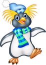 Penguin is standing use a shawl and hat cap