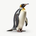 Hyperrealistic Penguin Illustration On White Background