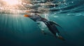 A penguin swimming marine life underwater ocean, Penguin on surface and dive dip water. Generative Ai Royalty Free Stock Photo