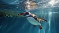 A penguin swimming marine life underwater ocean, Penguin on surface and dive dip water. Generative Ai Royalty Free Stock Photo