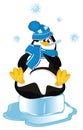 Sick penguin sit on ice