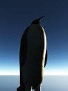 Penguin Twilight