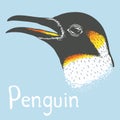 Penguin vector illustration Royalty Free Stock Photo