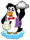 Penguin waiter on icebeg Royalty Free Stock Photo