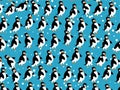 Penguin wallpaper