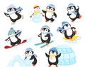 Penguin in winter activities. Little cute cartoon penguins characters play fun, make snowman, skating and skiing vector