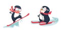 Penguin winter sport set Royalty Free Stock Photo