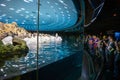 Penguinarium at Loro Parque. Puerto De La Cruz, Tenerife, Spain