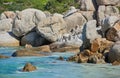 Penguins at Boulders Beach in South Africa. Birds enjoying and playing on the rocks on an empty seaside beach. Animals