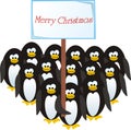 Penguins congratulate on Christmas