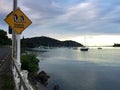 Penguins crossing and boats in harbour, Mangonui, New Zealand