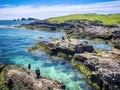 Penguins in Falkland islands