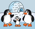 Penguins family with Igloo ice house vector stock illustration Royalty Free Stock Photo