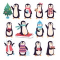 Penguins. Funny winter characters active pose little cute penguins in scarf and clothes vector doodles collection