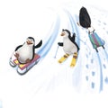 Penguins have fun skiing and snacking