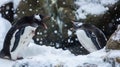 Penguins in Heated Debate art Royalty Free Stock Photo