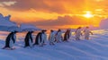 Penguins huddle in antarctic snowfield at sunset, wildlife photo captures survival instincts Royalty Free Stock Photo