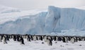 Penguins huddle seeking warmth on the drifting iceberg Creating using generative AI tools