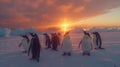 Penguins huddling in antarctic sunset wildlife photography of survival instinct in vast snowfield Royalty Free Stock Photo