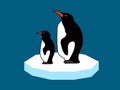 Penguins on an ice floe Royalty Free Stock Photo