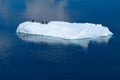 Penguins on iceberg in dark blue Southern Ocean, Antarctica. Beautiful riffled iceberg with three gentoo penguins on it.