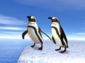 Penguins on an iceflow Royalty Free Stock Photo