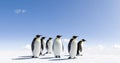 Penguins on icy landscape Royalty Free Stock Photo