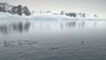 Penguins jumping in Antarctica ocean. Aerial.