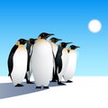 Penguins Royalty Free Stock Photo