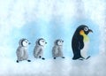 Penguins march Royalty Free Stock Photo