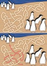 Penguins maze