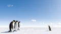 Penguins Meeting Royalty Free Stock Photo