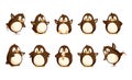 Penguins North Pole Animals Isolated Icons Set