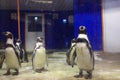 Penguins