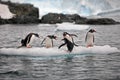 Penguins on a small iceberg in Antarctica Royalty Free Stock Photo