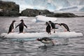 Penguins on a small iceberg in Antarctica Royalty Free Stock Photo