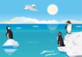 Penguins at the South Pole 2