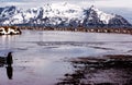 Penguins reflecting in water, South Pole