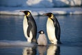 The penguins are standing. Generative AI